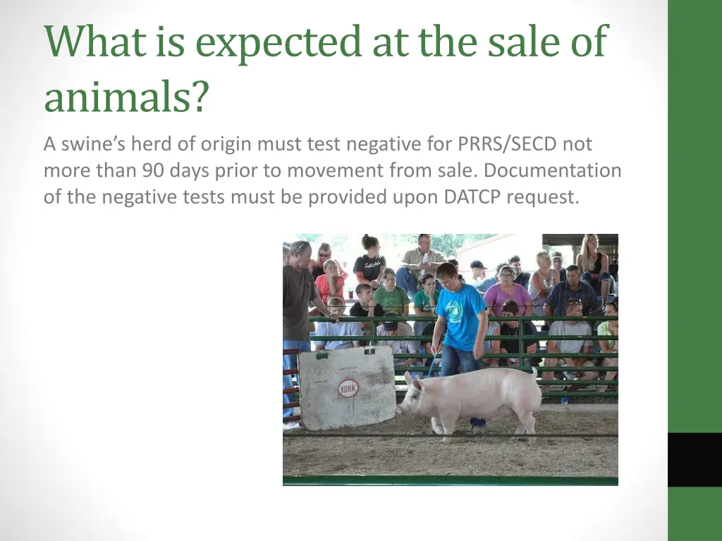 what is expected at the sale of animals