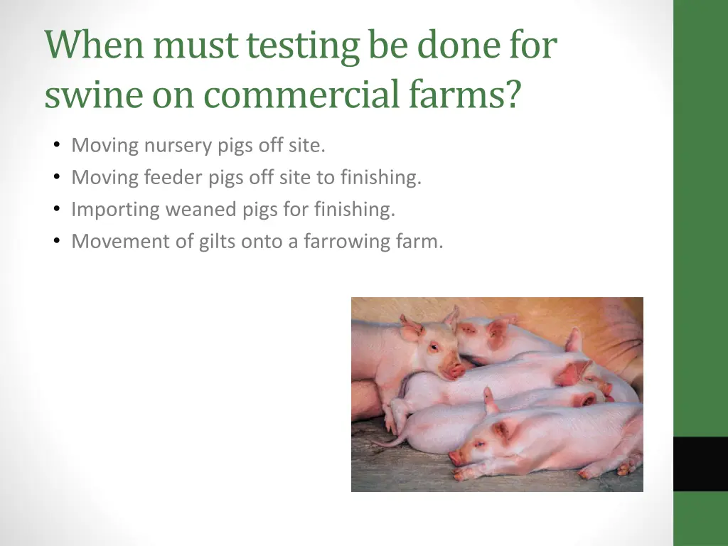 when must testing be done for swine on commercial