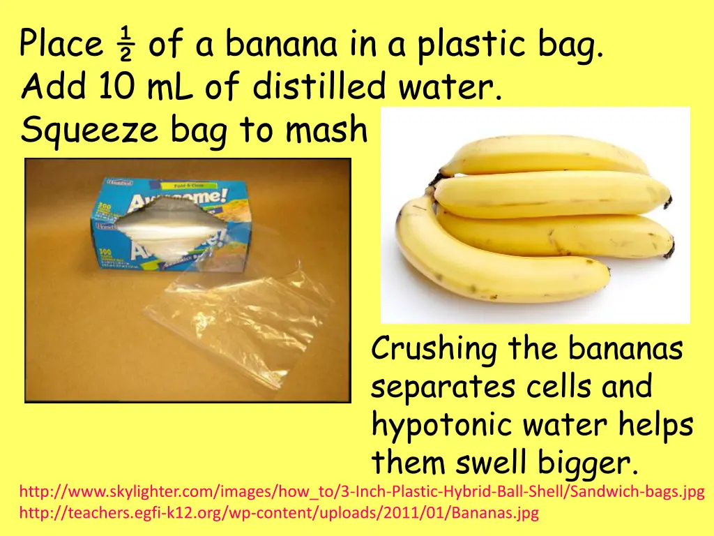 place of a banana in a plastic