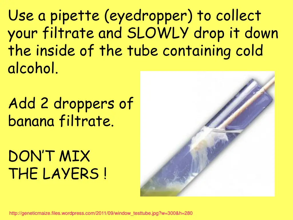 use a pipette eyedropper to collect your filtrate