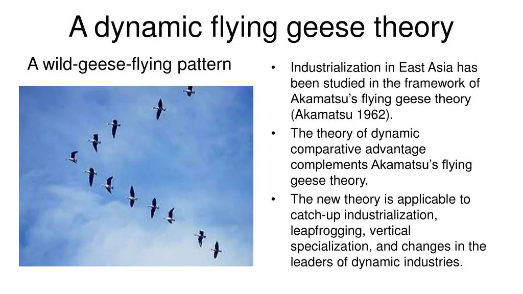 a dynamic flying geese theory