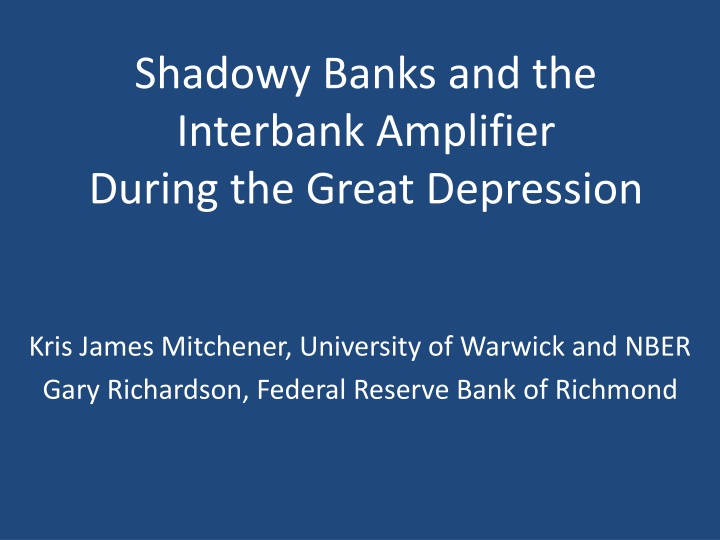 shadowy banks and the interbank amplifier during