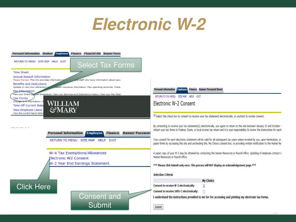 electronic w 2