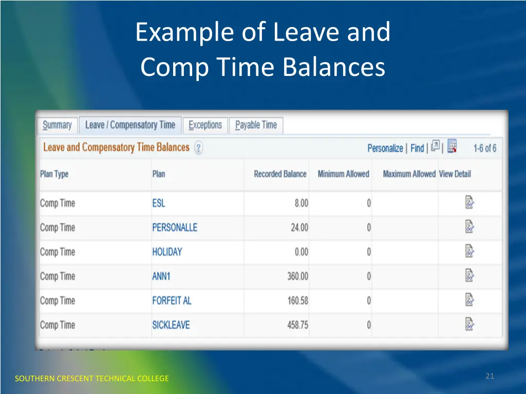 example of leave and comp time balances