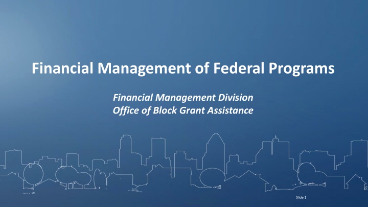 financial management of federal programs