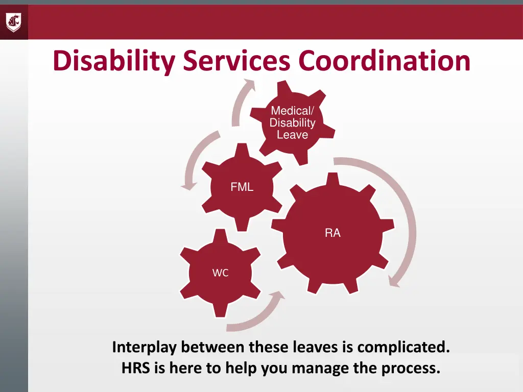 disability services coordination