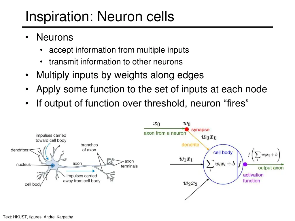 inspiration neuron cells