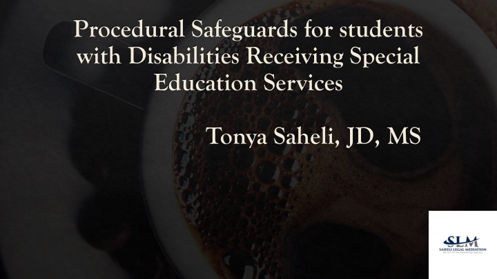 procedural safeguards for students with