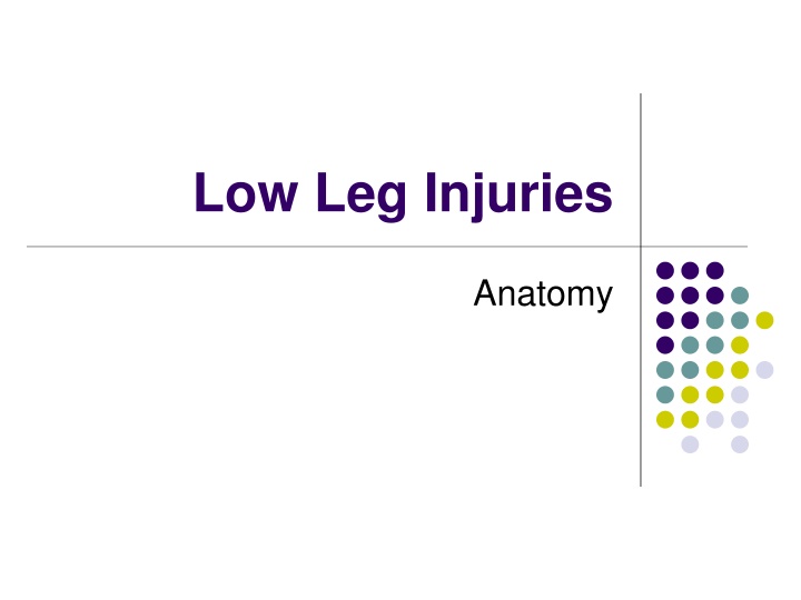 low leg injuries