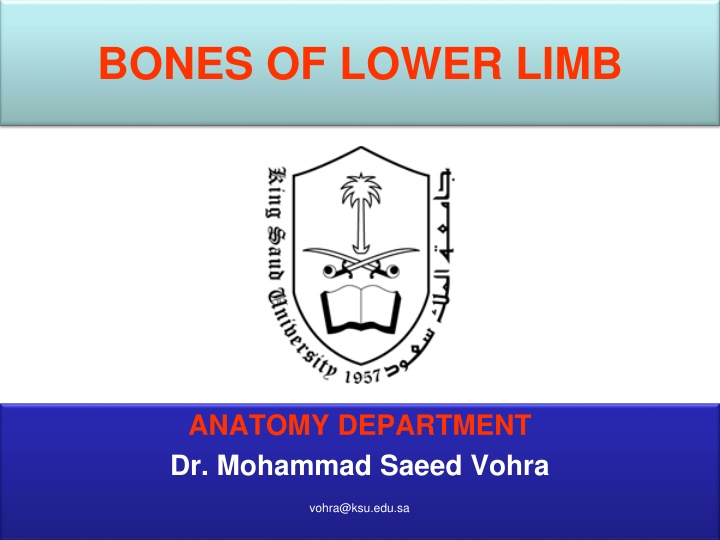 bones of lower limb