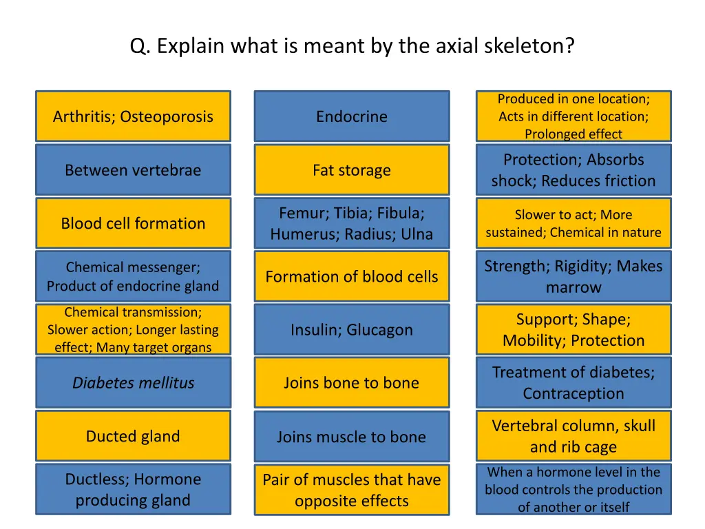 q explain what is meant by the axial skeleton