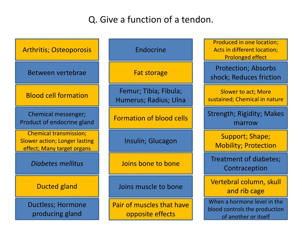 q give a function of a tendon