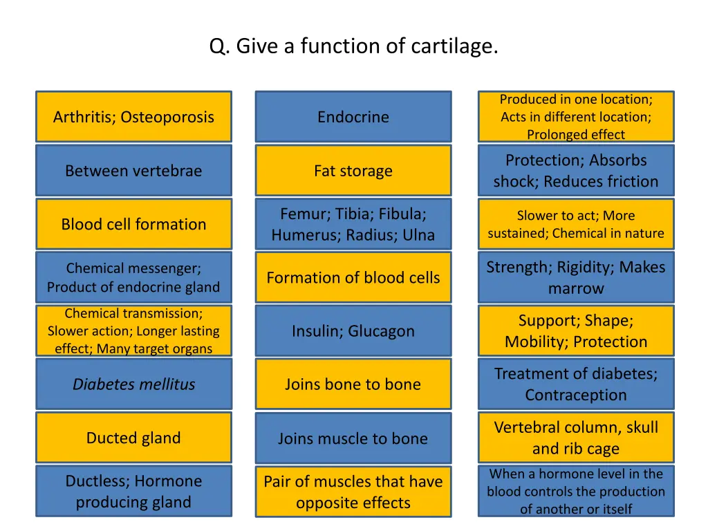 q give a function of cartilage