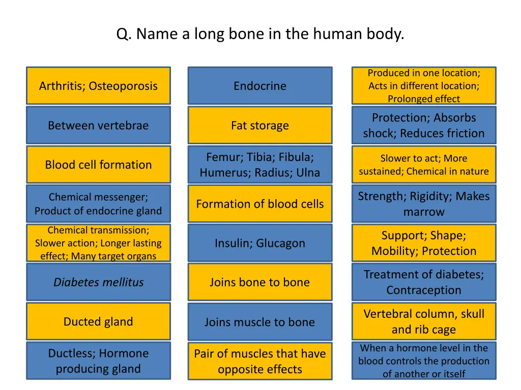 q name a long bone in the human body