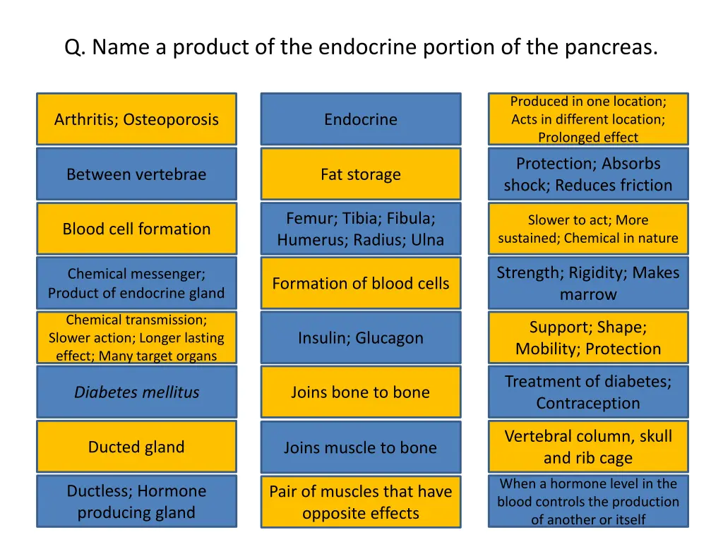 q name a product of the endocrine portion