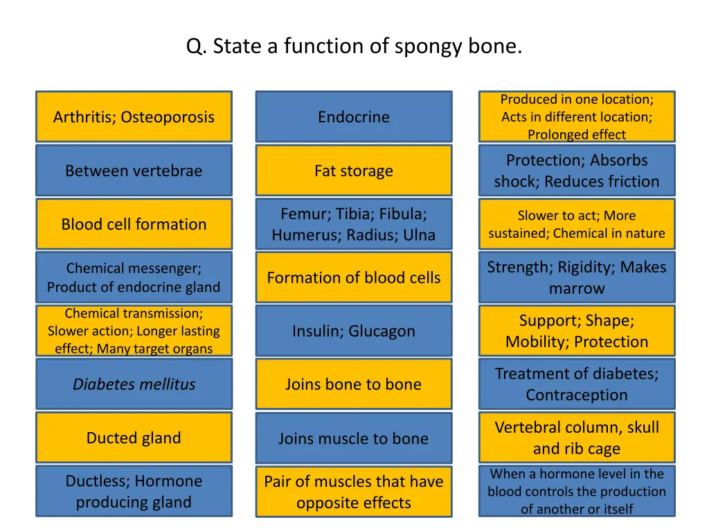 q state a function of spongy bone