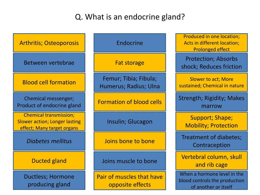 q what is an endocrine gland