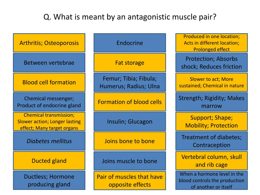 q what is meant by an antagonistic muscle pair