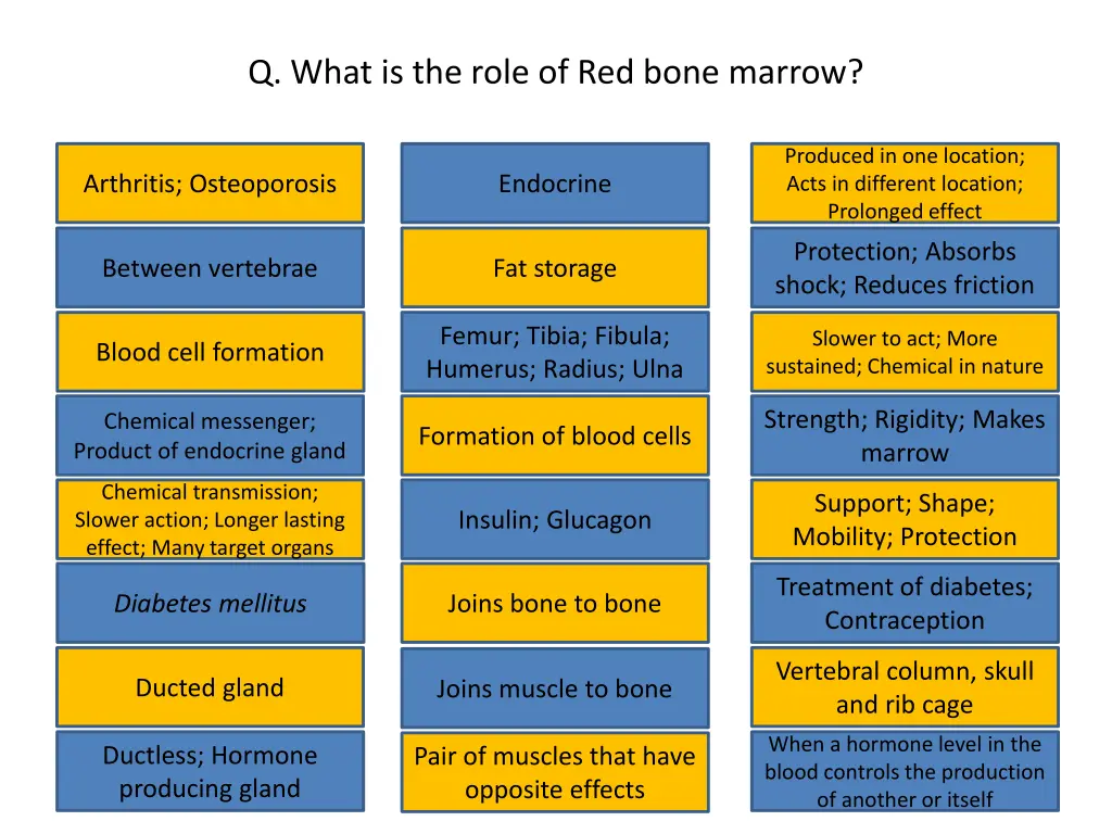 q what is the role of red bone marrow