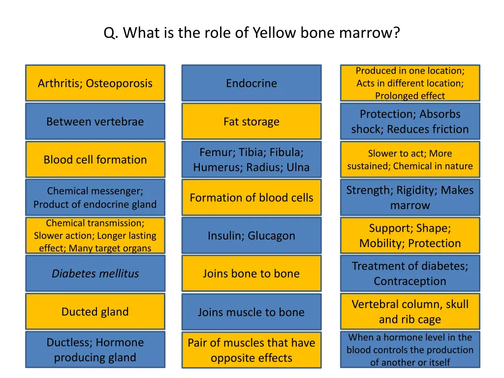 q what is the role of yellow bone marrow