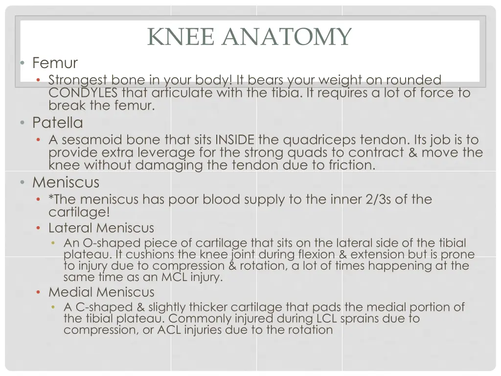 knee anatomy 4