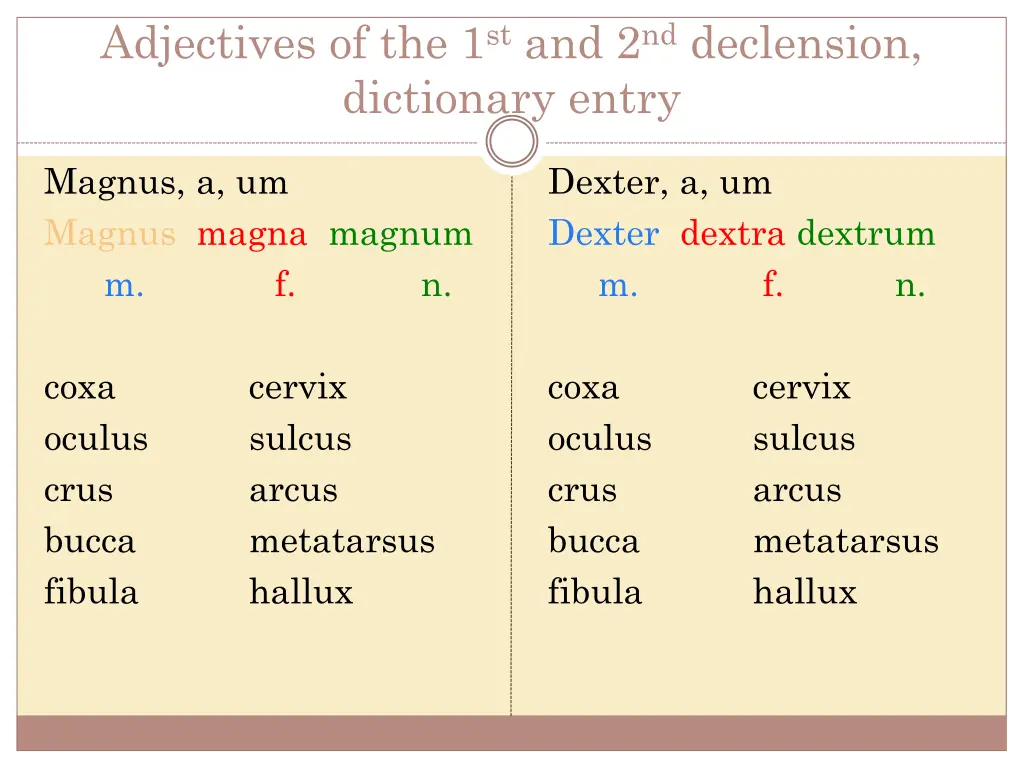 adjectives of the 1 st and 2 nd declension