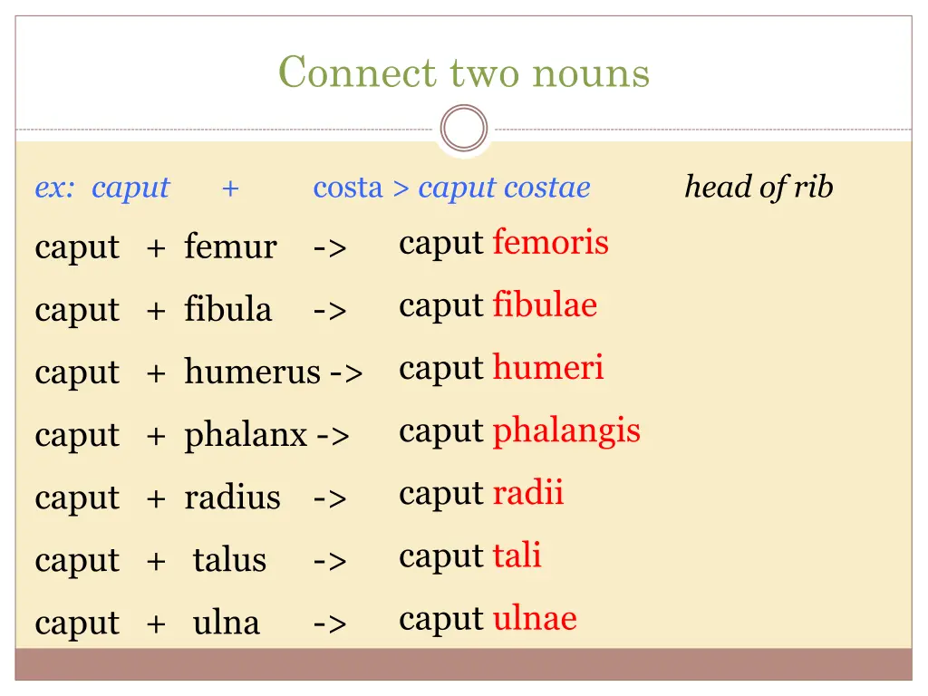 connect two nouns