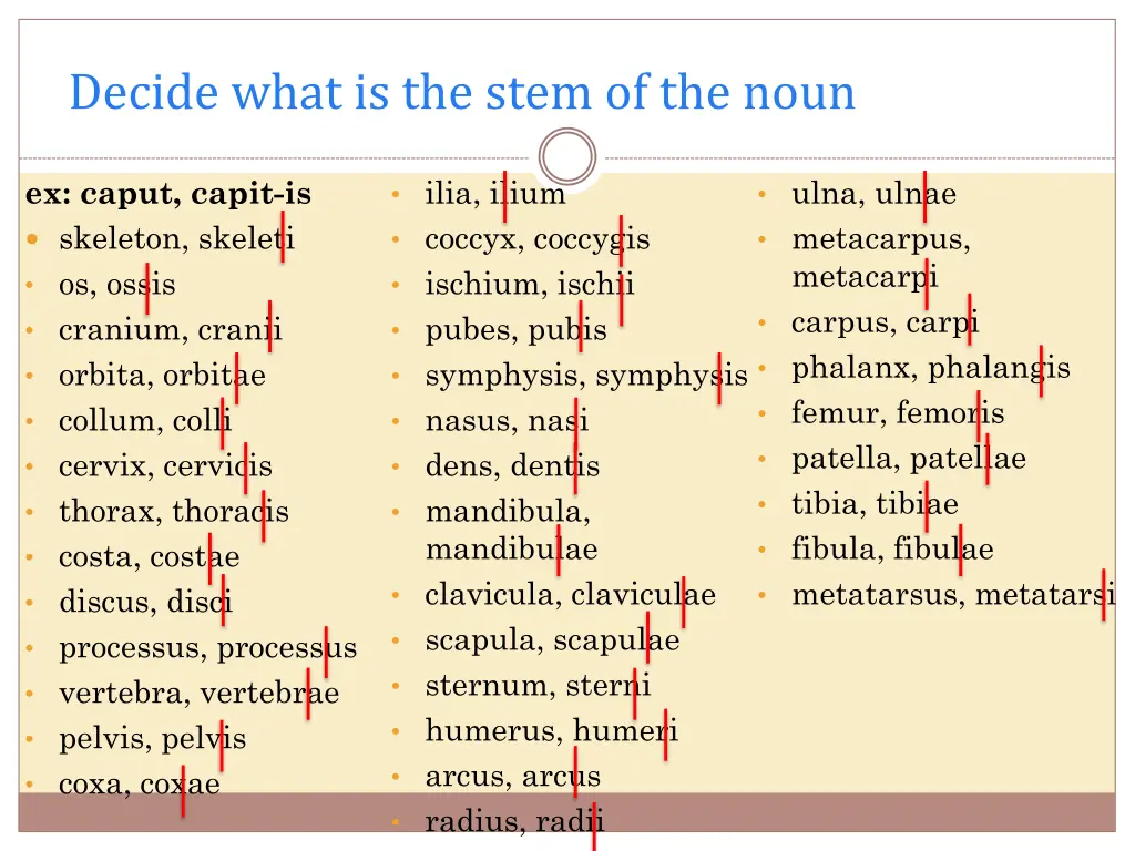 decide what is the stem of the noun