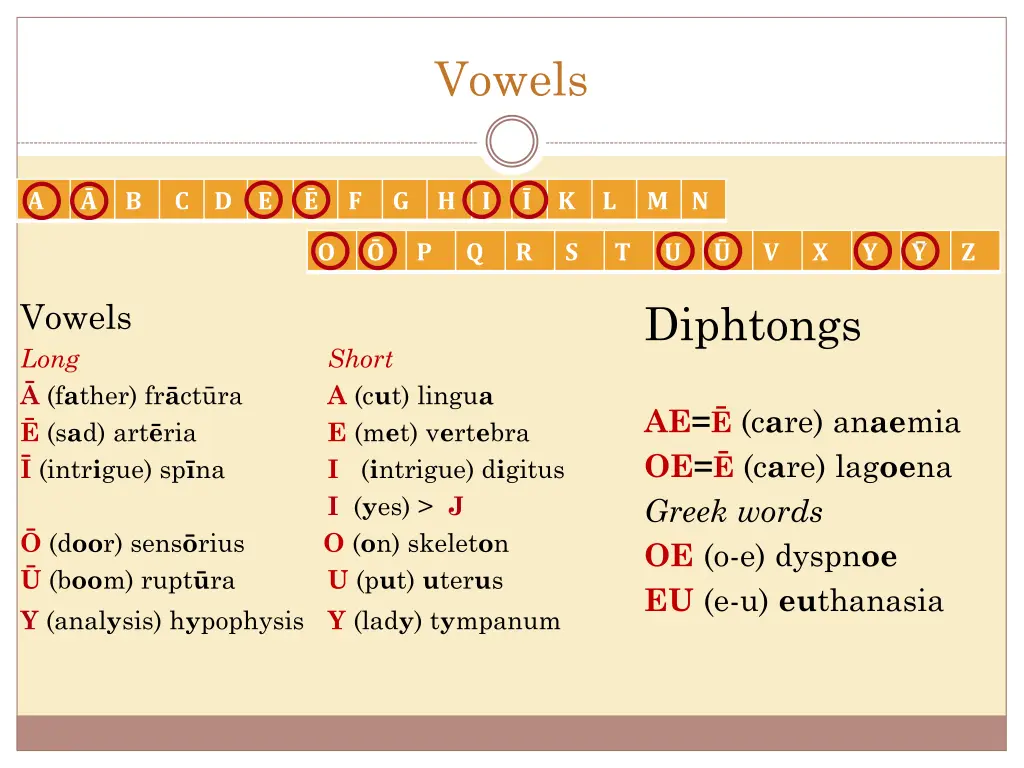 vowels