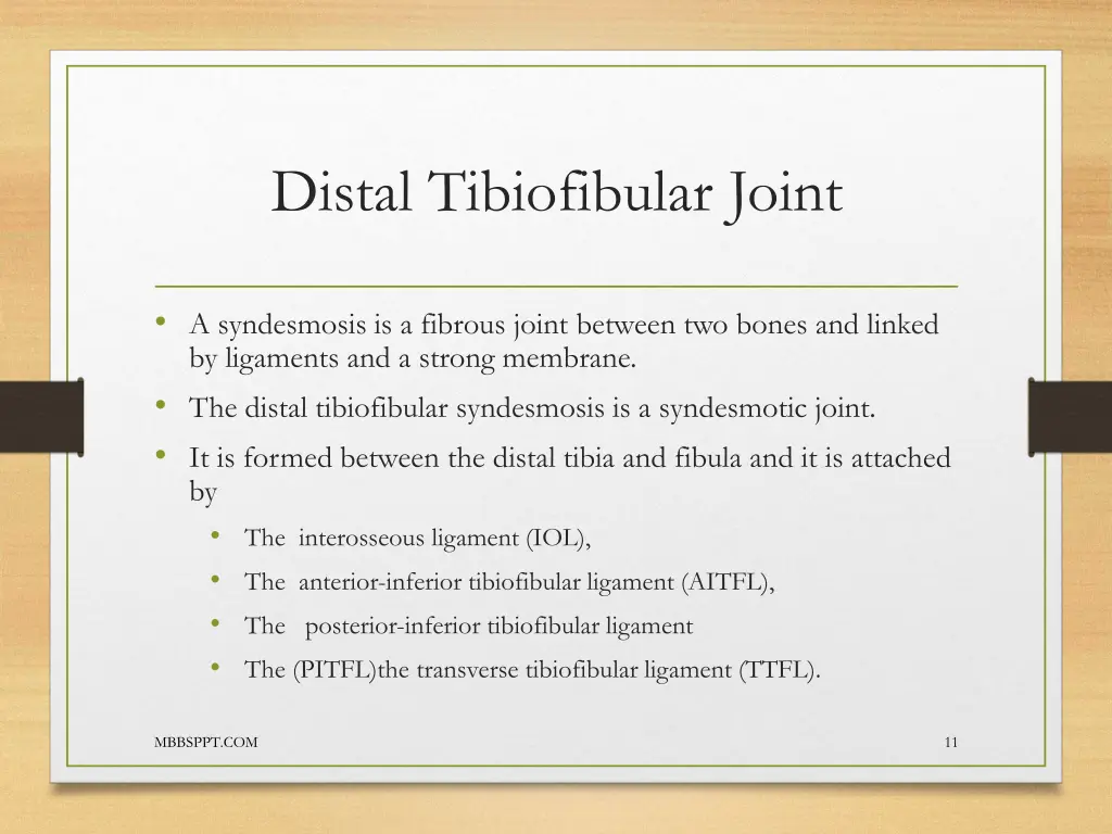 distal tibiofibular joint 2