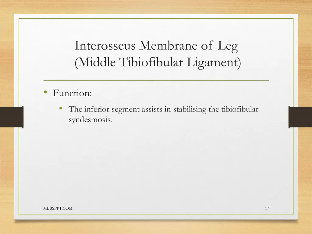 interosseus membrane of leg middle tibiofibular 2