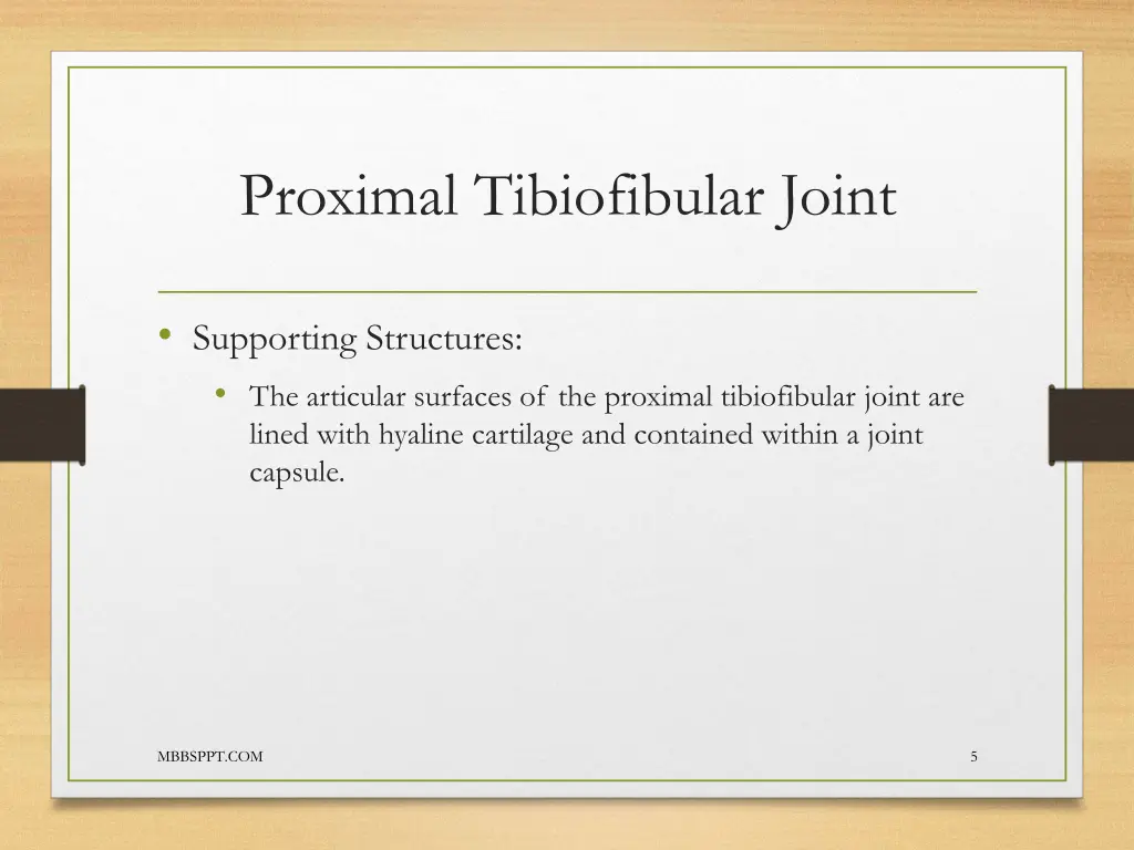 proximal tibiofibular joint 1