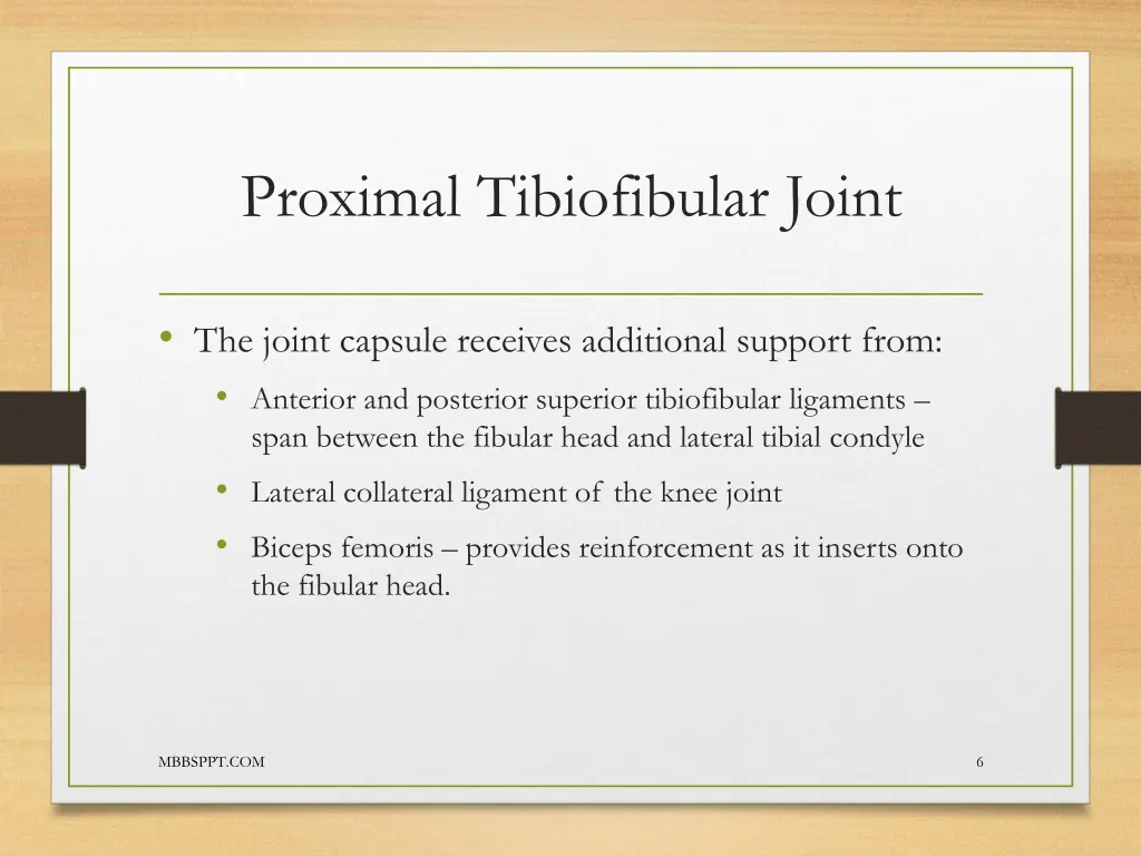 proximal tibiofibular joint 2