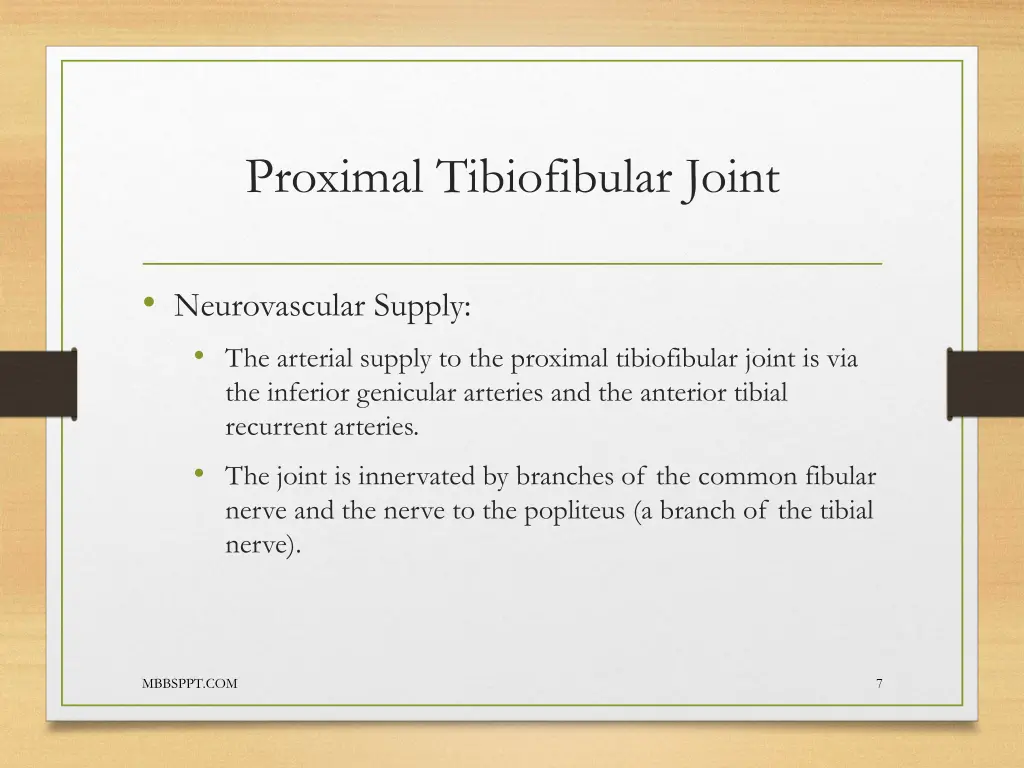 proximal tibiofibular joint 3