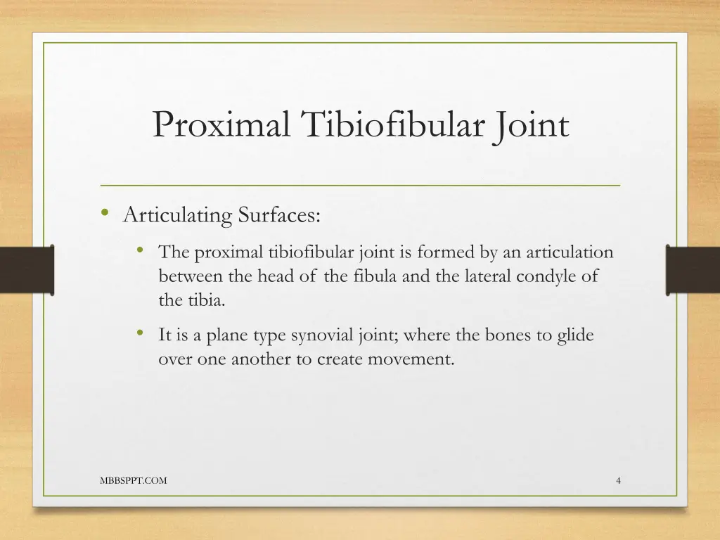 proximal tibiofibular joint