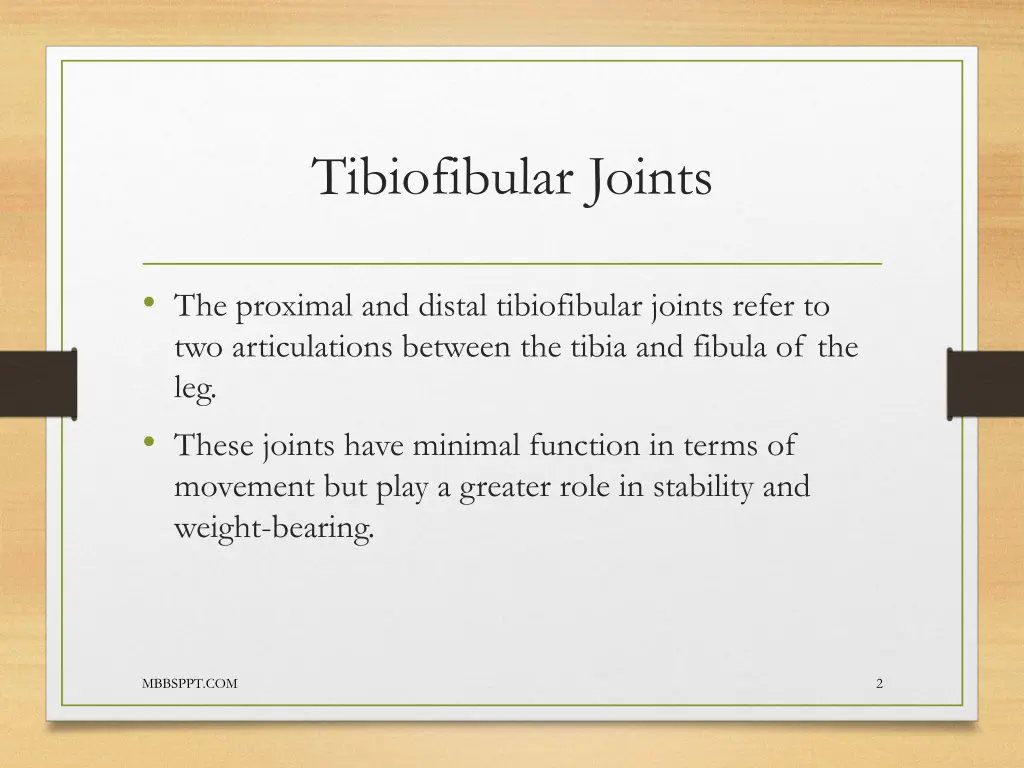 tibiofibular joints 1