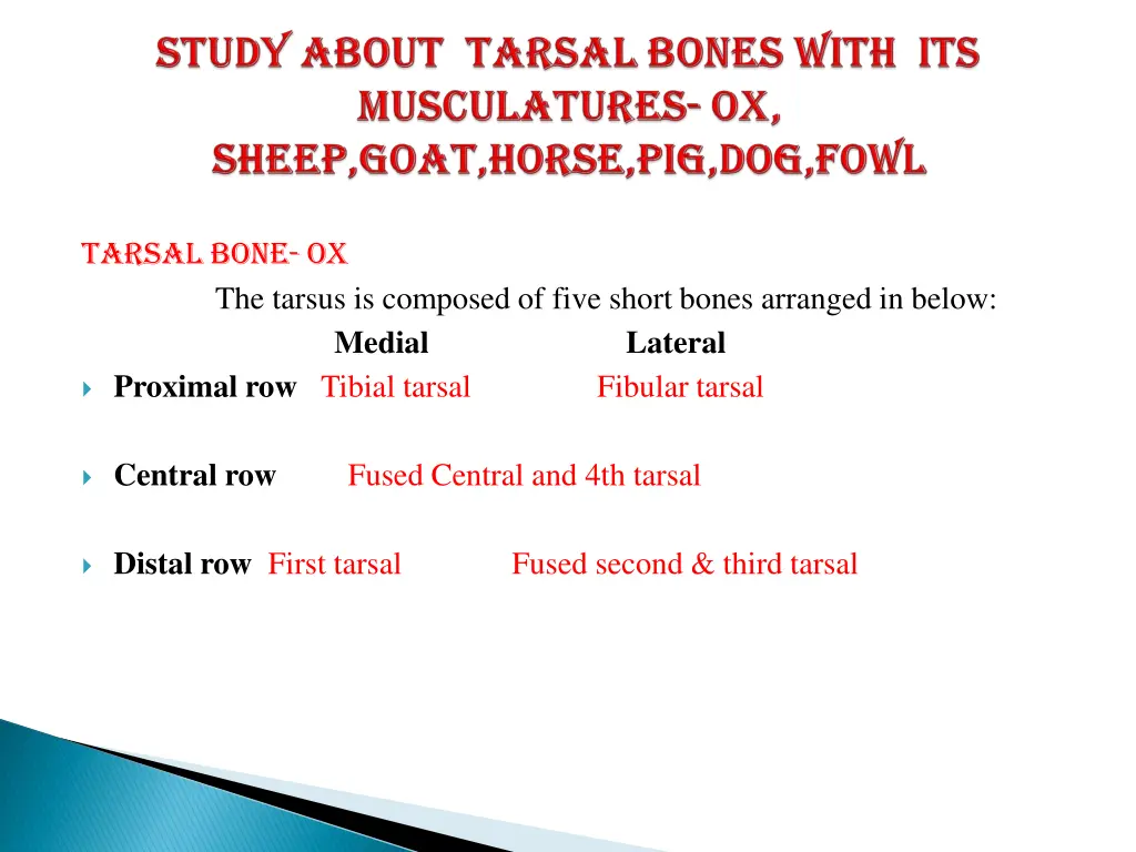 tarsal bone ox the tarsus is composed of five