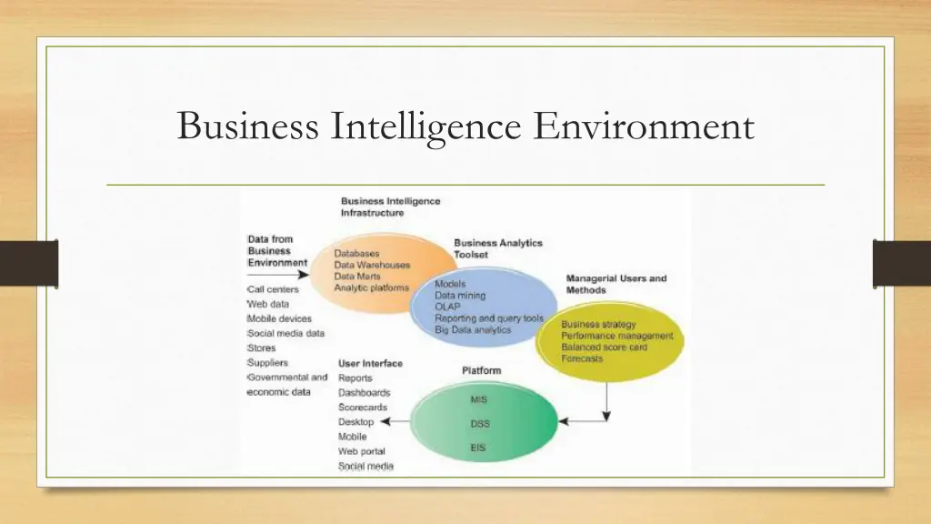 business intelligence environment