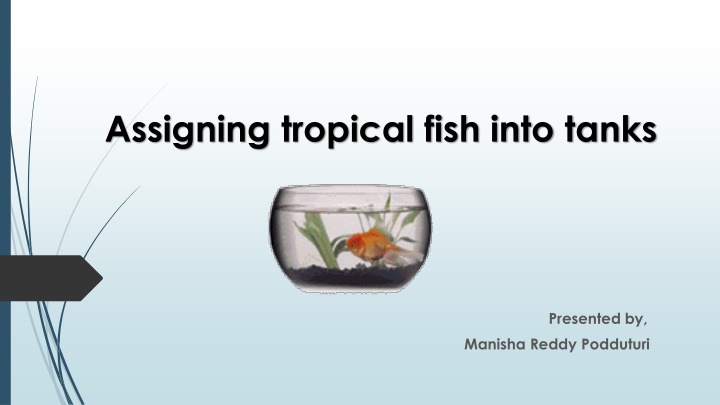 assigning tropical fish into tanks