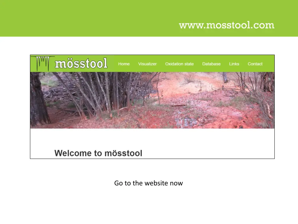 www mosstool com