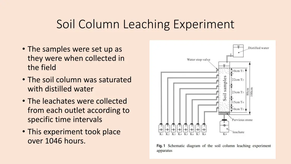 soil column leaching experiment