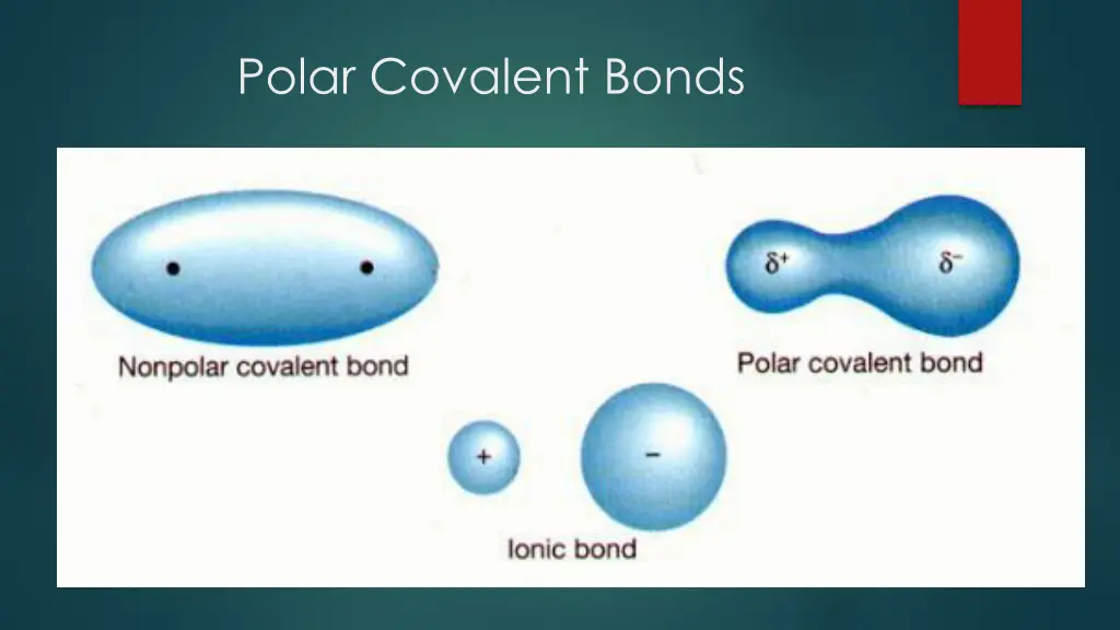 polar covalent bonds