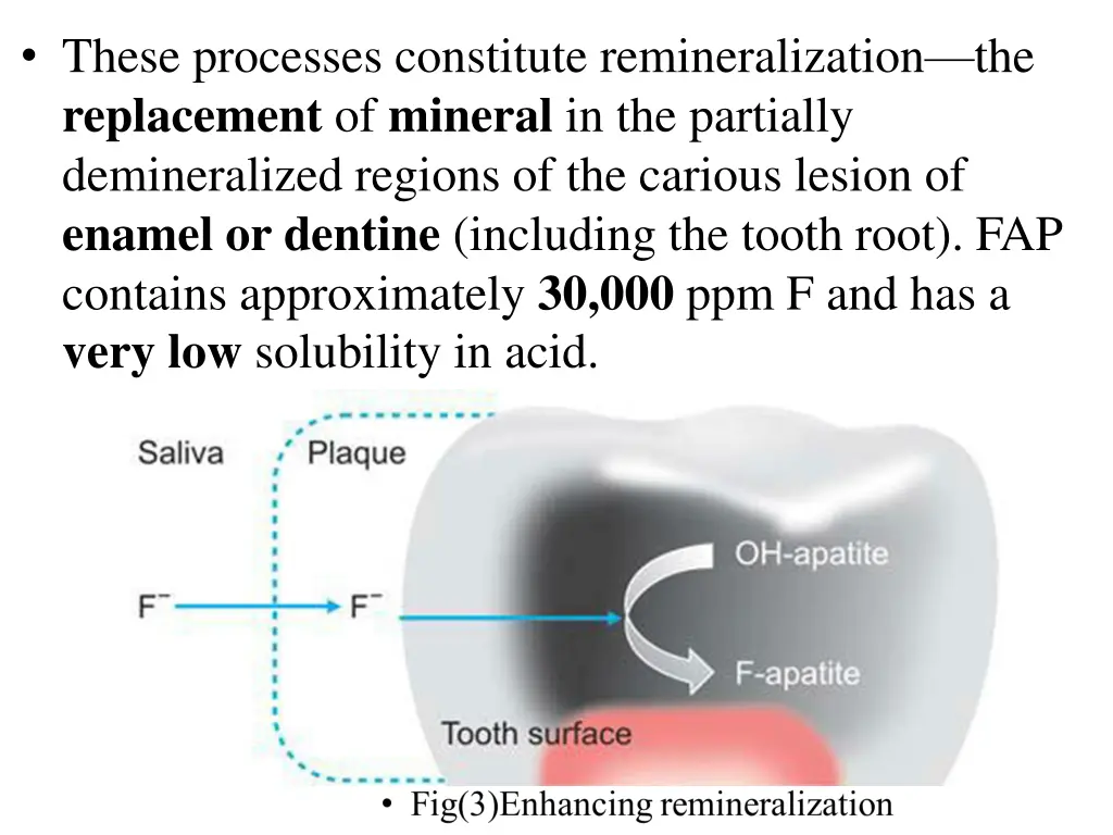 these processes constitute remineralization