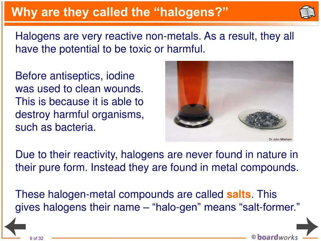 why are they called the halogens