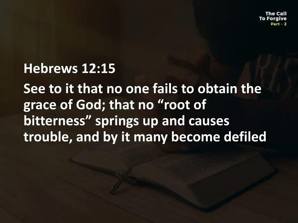 hebrews 12 15 see to it that no one fails