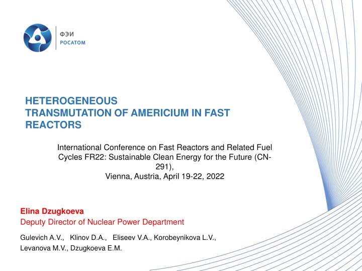 heterogeneous transmutation of americium in fast