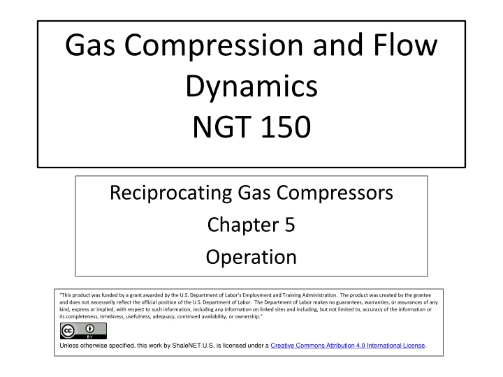 gas compression and flow dynamics ngt 150