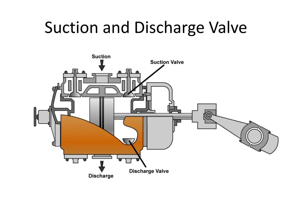 suction and discharge valve