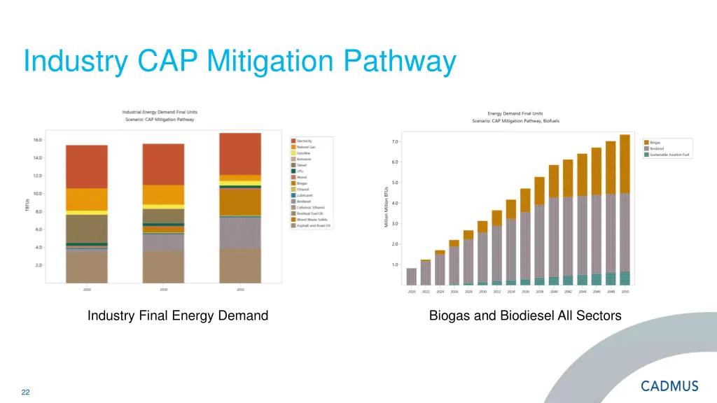 industry cap mitigation pathway