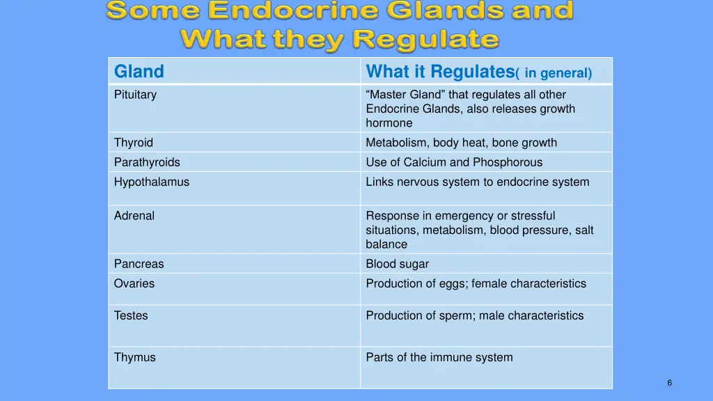 gland pituitary